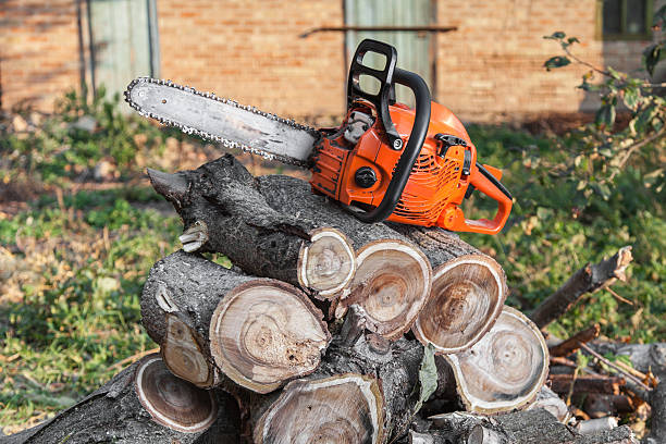 Residential Tree Removal in Gastonia, NC